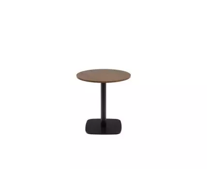 Dina Круглый стол