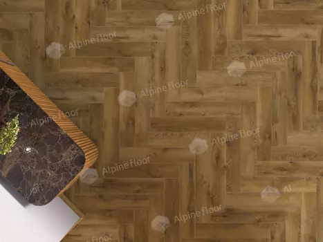 Дуб Беникарло