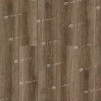 Дуб Болонья