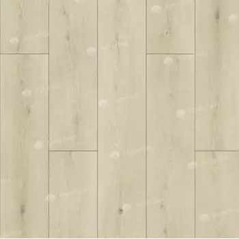 Дуб Боргезе