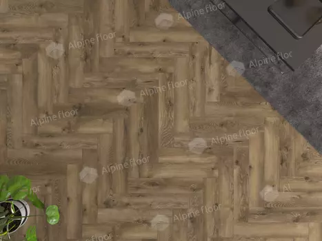 Дуб Бурриана