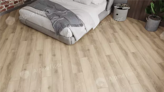 Дуб Флоренция