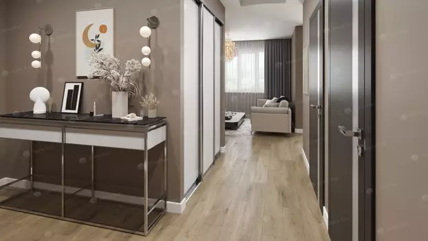 Дуб млечный ABA