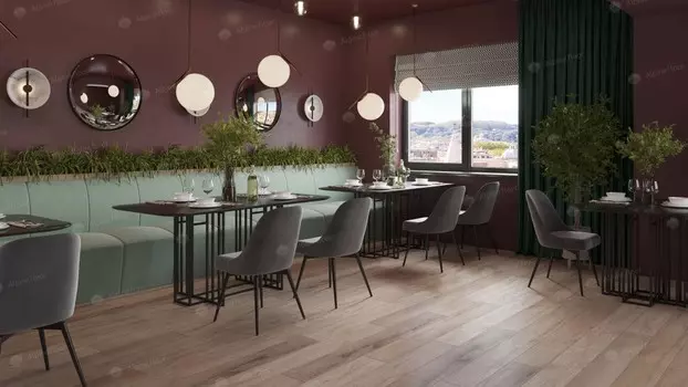 Дуб персиковый ABA