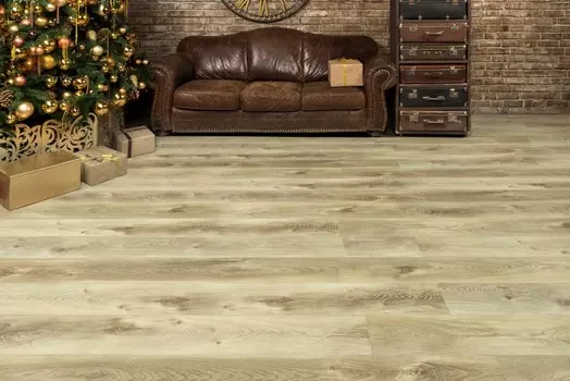 Дуб песчаный