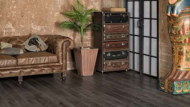 Дуб торфяной