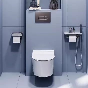 DX31C1738SC Унитаз подвесной с сиденьем микролифт