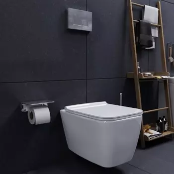 DX78C1700SC Унитаз подвесной безободковый, с сиденьем микролифт