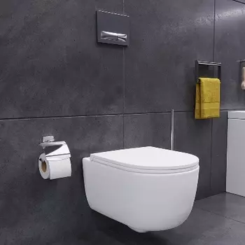 DX86C1800SC Унитаз подвесной безободковый с функцией биде с сиденьем микролифт