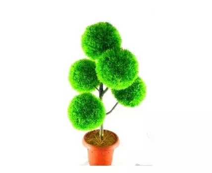 Дженерейшен