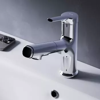 F85B02900 Смеситель для раковины с вытяжным изливом