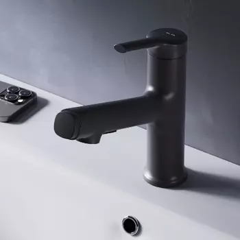 F85B02922 Смеситель для раковины с вытяжным изливом