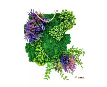 Фито картина Глория2