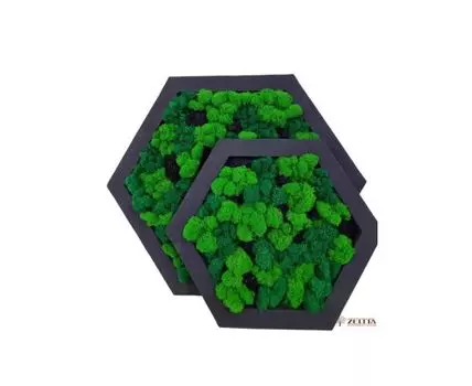 Фито картина Набор из Ромбов