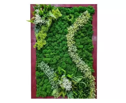 Фито картина Рэджи