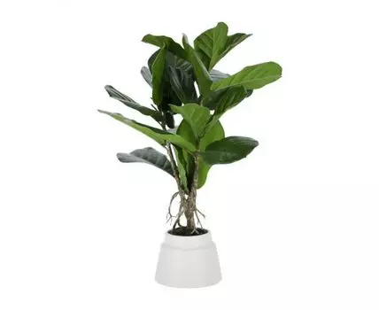 Flower Искусственное растение лирата 60см