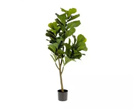 Flower Искусственное растение листовой скрипки 145см