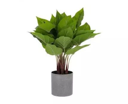 Flower Искусственный антуриум 45см
