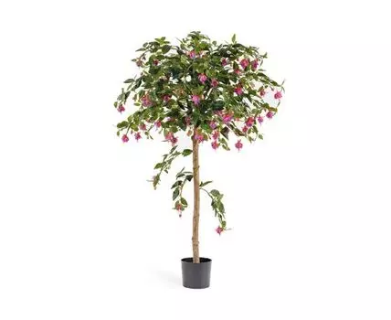 Фуксия зонтичная 140 см 2/2