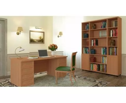 Гарнитур для кабинета Премьер-5