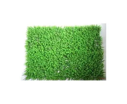 Газон самшит высокий 40х60