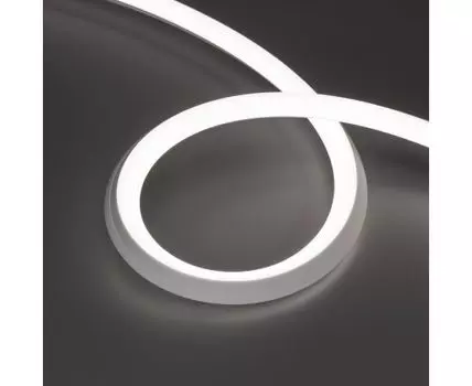 Гибкий неон Arlight MOONLIGHT