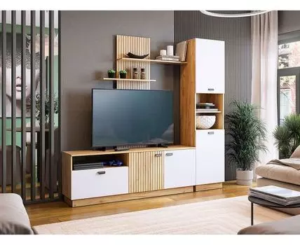 Гостиная Моди