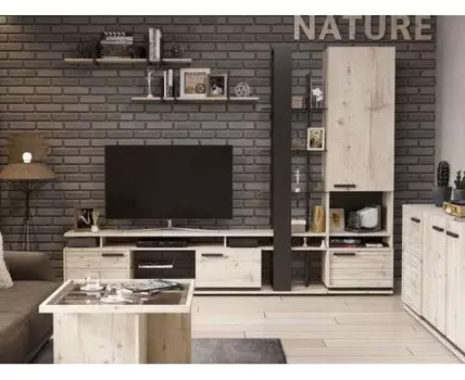 Гостиная Натура (211.6, 41.6, Прямые, Черный, 279.6)