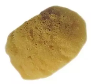 Губка натуральная для эффекта, натуральный материал, 14 см