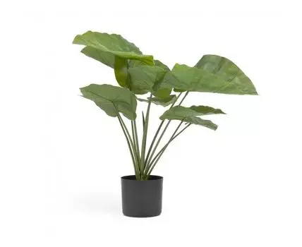 Искусственное растение Alocasia