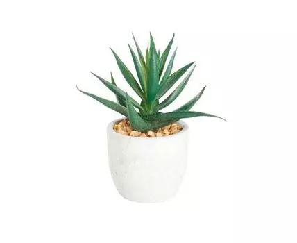 Искусственное растение CHITOSE