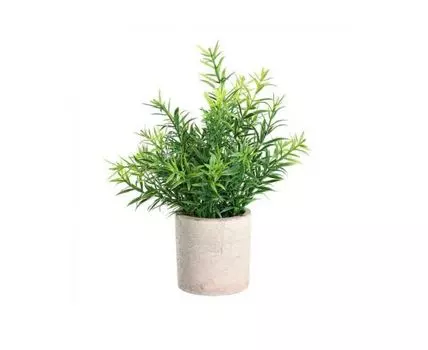 Искусственное растение CHITOSE