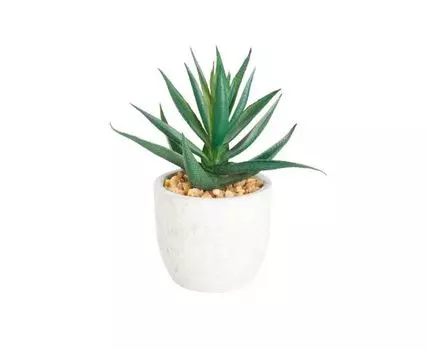 Искусственное растение CHITOSE