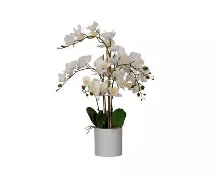 Искусственное растение HYUGA