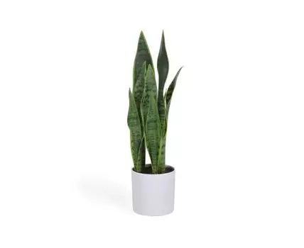 Искусственное растение Sansevieria