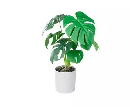 Искусственное растение TOBETSU