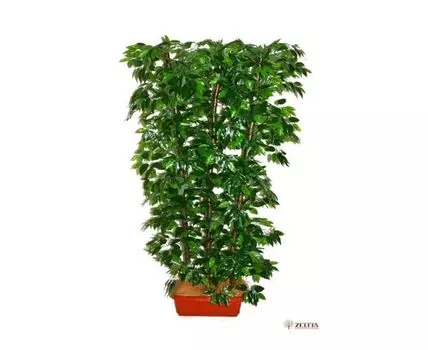 Элемент декора Гала Гранд