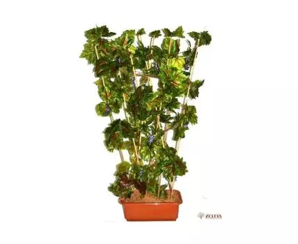 Элемент декора Патрисия