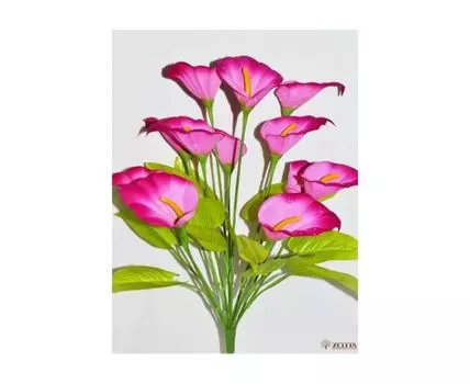 Калла Нинэль малиновая