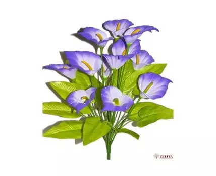 Калла Нинэль сиреневая