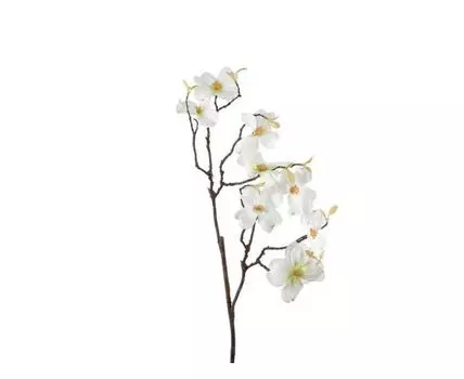 Камелия белая (Белый)