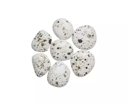 Камни с цветной крапинкой - 7 шт. (Белый)