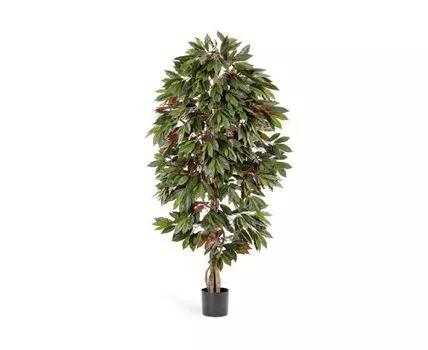 Капенсия 150 см 2/2