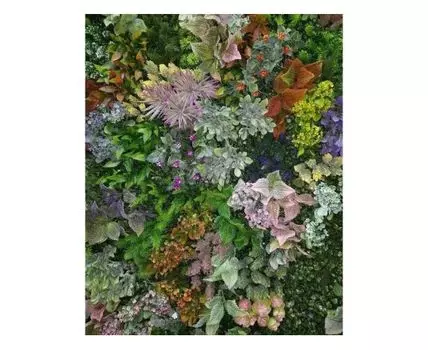 Кармелита 1кв.м