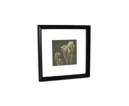 Картина белый брум (белый, черный, 25)