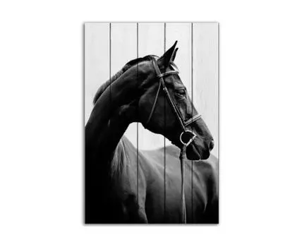 Картина Черная лошадь