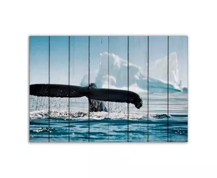 Картина Хвост кита