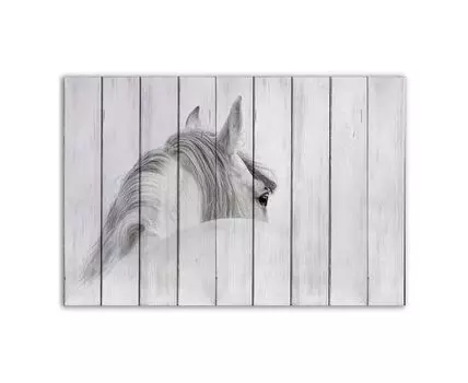 Картина на дереве Белая лошадь 1 80х120 см (Белый, 80)
