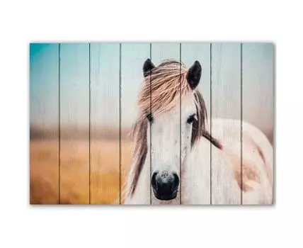 Картина на дереве Белая лошадь 3 80х120 см (Бежевый, 80)