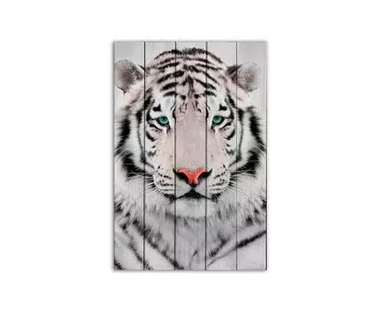 Картина на дереве Белый тигр 60х90 см (Белый, 60)